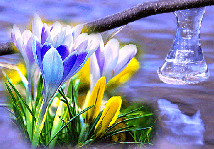 Красивые мерцающие открытки на весеннюю тематику. Скачать бесплатно открытки ...