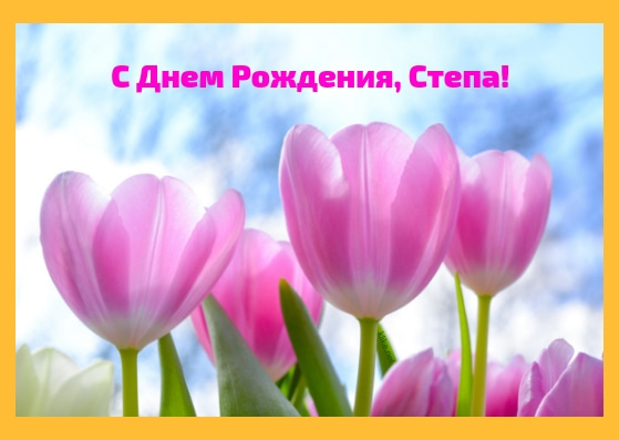 Открытки с мужскими именами. Открытки с именем Степан с поздравлениями. С днё...