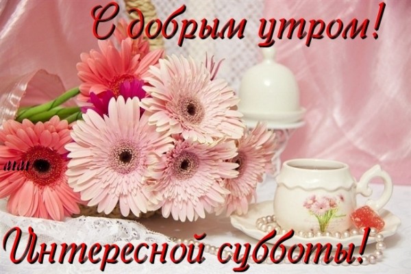 Интересные открытки на субботу. Веселые открытки на выходные. 