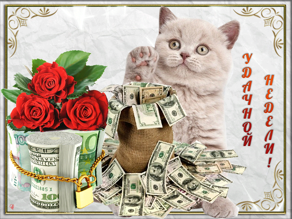 Забавные открытки с пожеланиями удачной недели. Открытки удачной недели скача...