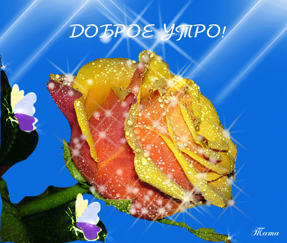 Открытка с пожеланиями доброго утра на каждый день скачать бесплатно 