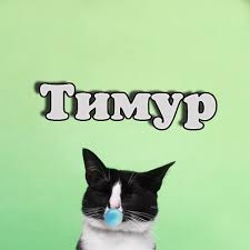 Открытки с именем Тима. С днём рождения Тимур открытки. Поздравительные Откры...