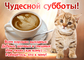 Интересные открытки на субботу. Веселые открытки на выходные.