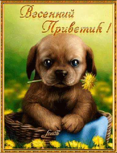 Красивые анимационные открытки с различными приветствиями скачать бесплатно.