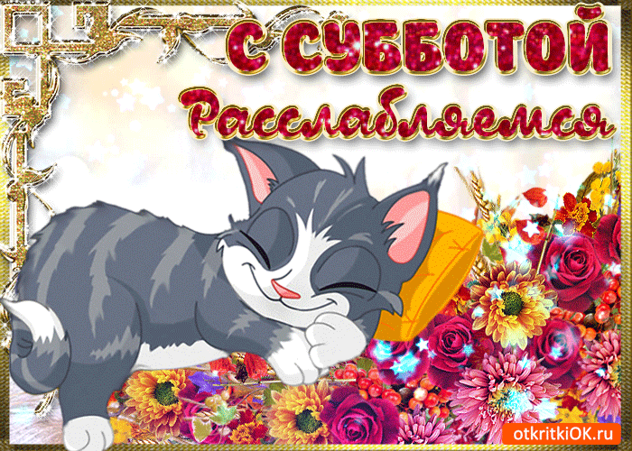 Интересные открытки на субботу. Веселые открытки на выходные. 