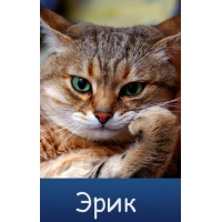 Скачать бесплатно открытки с именем Эрик. Поздравительные открытки с именем Э...