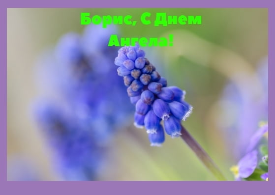 Открытки с днём рождения Борис. Красивые открытки с мужскими именами.