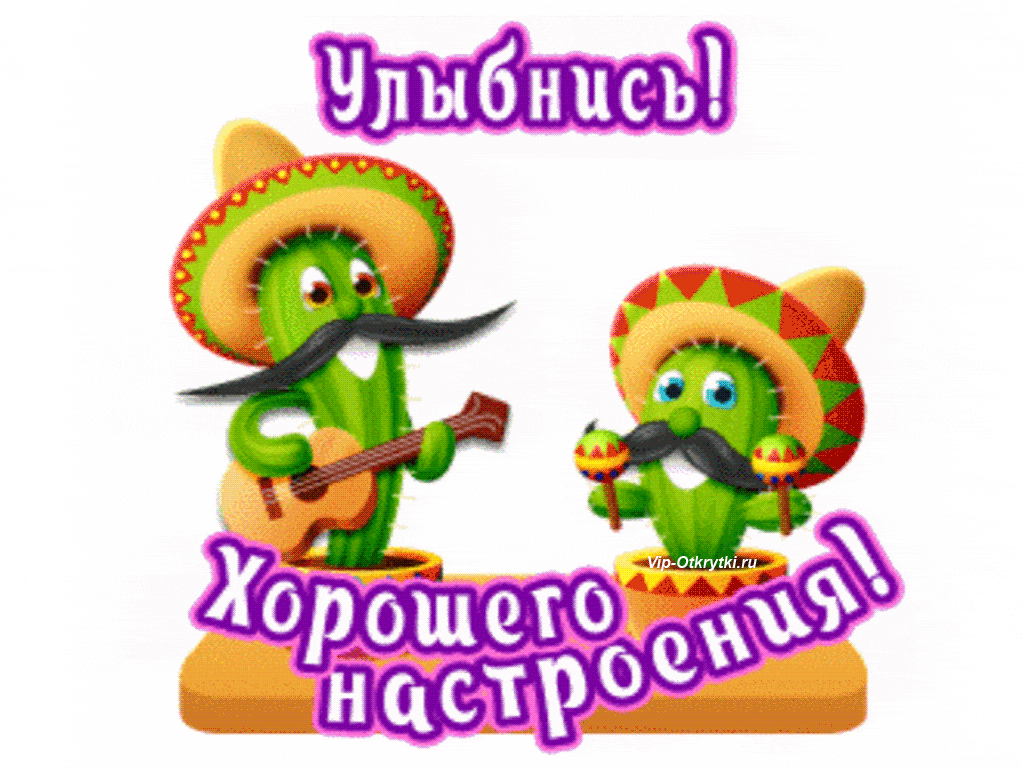 Весёлые открытки с пожеланиями улыбнись. Открытки с улыбкой скачать бесплатно.