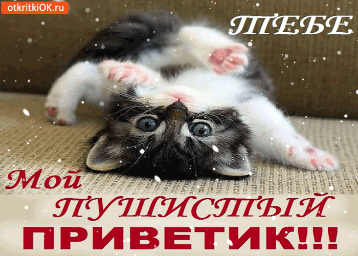 Красивые анимационные открытки с различными приветствиями скачать бесплатно.