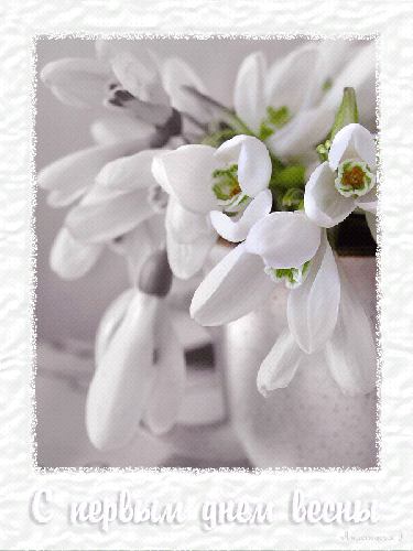 Красивые открытки с первым днем весны. Открытки с первым днем весны скачать бесплатно.