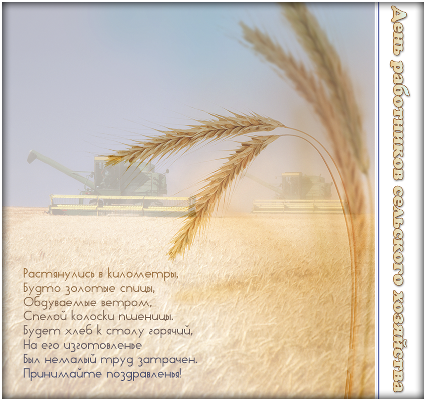Открытки на день работников сельского хозяйства и перерабатывающей промышленн...