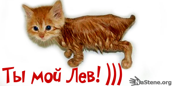 Поздравительные открытки с именем Лев. Открытки с мужскими именами. Открытки ...