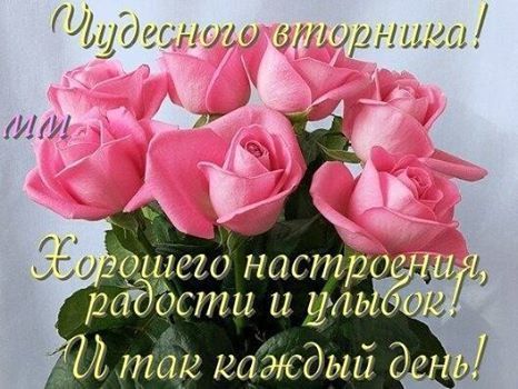 Позитивные открытки на вторник. Картинки про вторник скачать бесплатно.