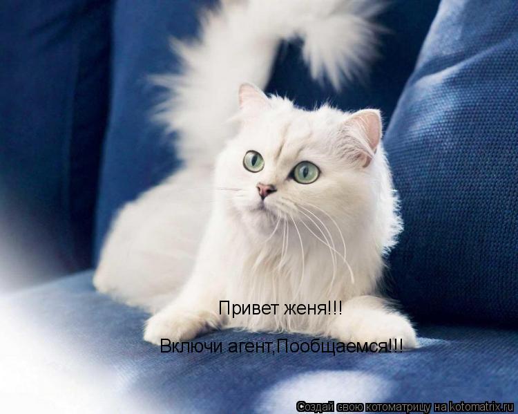 Открытки с именем Евгений gif. Открытки с днём рождения Женя. Открытки с имен...