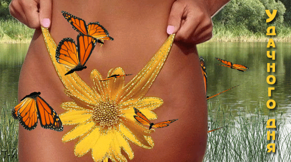 Открытки желаю удачи скачать бесплатно. Красивые открытки с пожеланиями удачи.