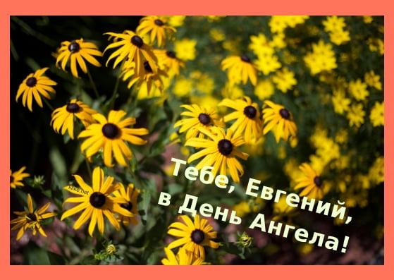 Открытки с именем Евгений gif. Открытки с днём рождения Женя. Открытки с имен...