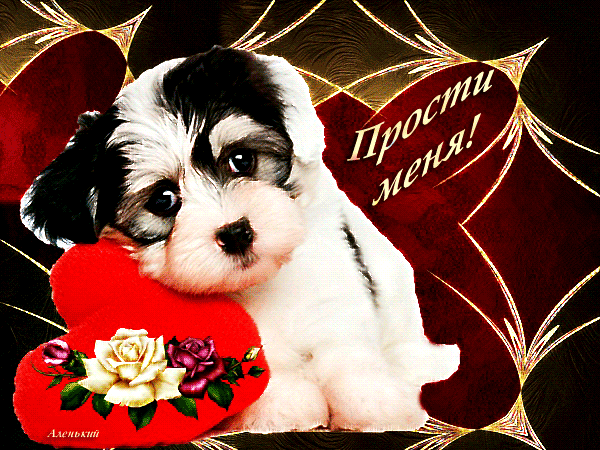 Красивые открытки с извинениями скачать бесплатно. Открытки прости меня gif.