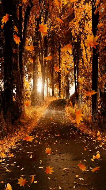 Оригинальные открытки с изображением осени. Открытки осень скачать бесплатно.