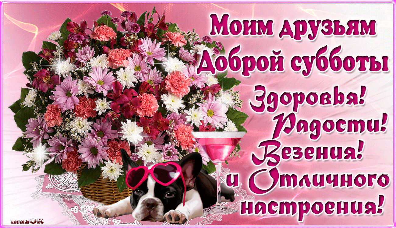 Интересные открытки на субботу. Веселые открытки на выходные.