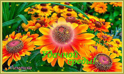 Открытки с пожеланиями отличной среды. Красивые открытки на среду.