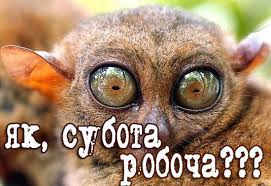 Интересные открытки на субботу. Веселые открытки на выходные.