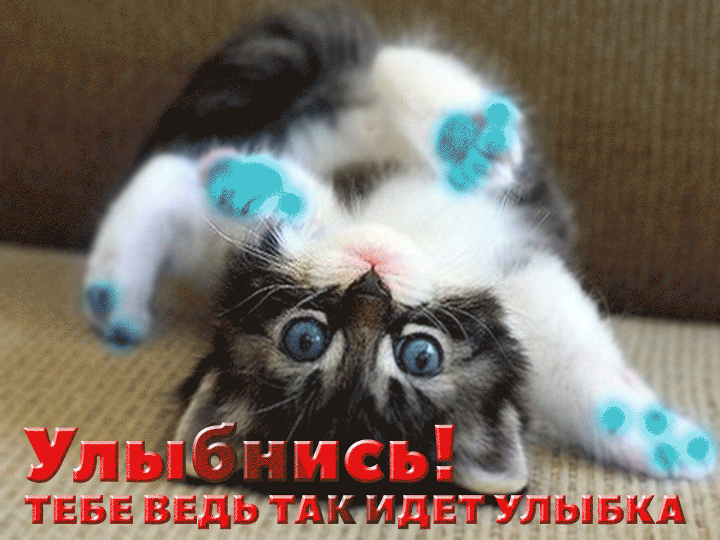 Весёлые открытки с пожеланиями улыбнись. Открытки с улыбкой скачать бесплатно.