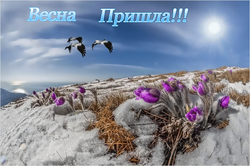 Красивые мерцающие открытки на весеннюю тематику. Скачать бесплатно открытки ...