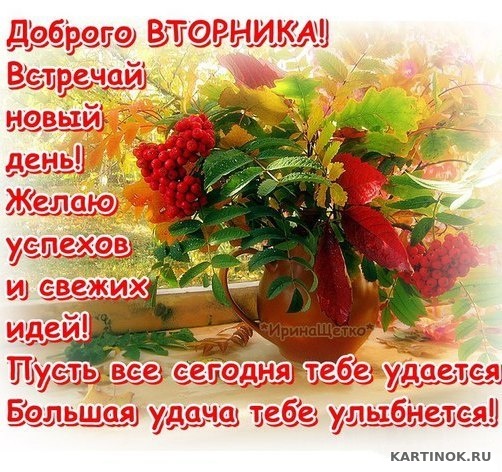 Позитивные открытки на вторник. Картинки про вторник скачать бесплатно.