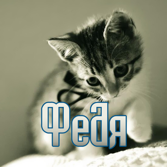 С днём рождения Фёдор открытки. Открытки с именем Федя. Поздравительные откры...