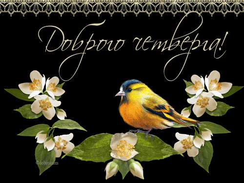 Открытки отличного четверга скачать бесплатно. Прикольные открытки на четверг...