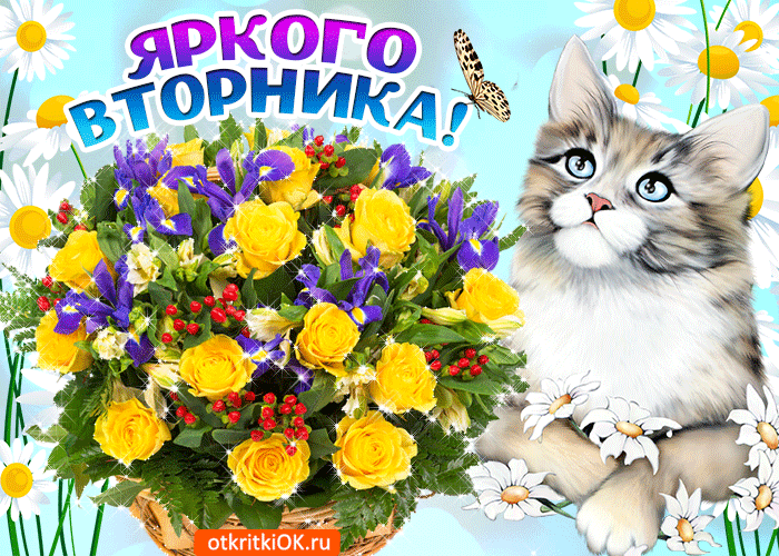 Позитивные открытки на вторник. Картинки про вторник скачать бесплатно.