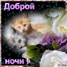 Гифки с пожеланиями на ночь. Открытки с пожеланиями спокойной ночи