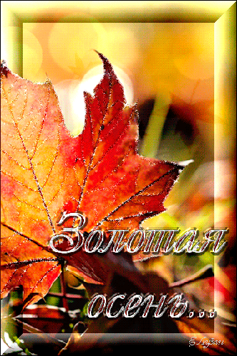 Красивые анимационные открытки на первый день осени скачать бесплатно