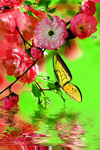 Мерцающие открытки с бабочками. Открытки с красивыми бабочками скачать беспла...