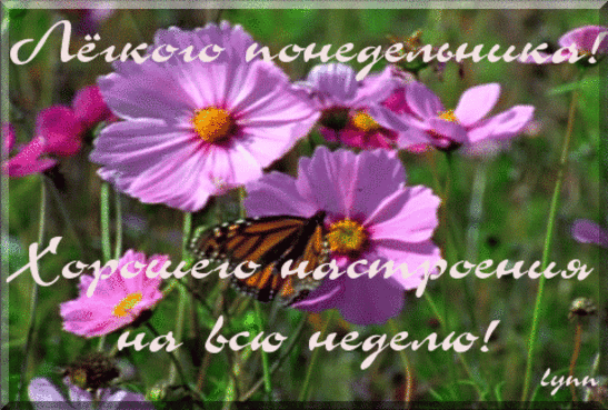 Открытки с пожеланиями легкого понедельника скачать бесплатно.