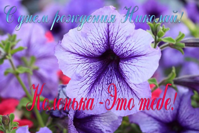 Поздравительные открытки с именем Николай. Открытки с днём рождения Коля.