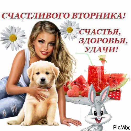 Позитивные открытки на вторник. Картинки про вторник скачать бесплатно.