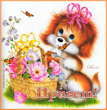 Красивые анимационные открытки с различными приветствиями скачать бесплатно.