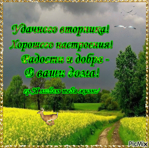 Позитивные открытки на вторник. Картинки про вторник скачать бесплатно.