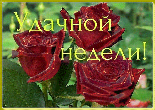 Забавные открытки с пожеланиями удачной недели. Открытки удачной недели скача...