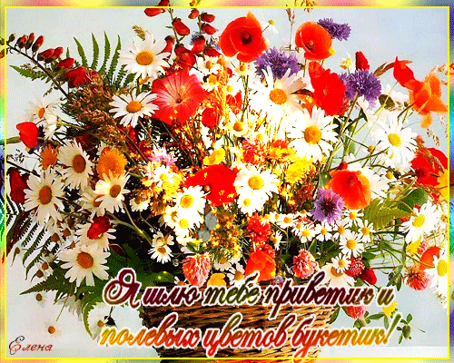 Красивые анимационные открытки с различными приветствиями скачать бесплатно.