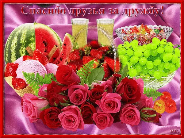 Красивые открытки для любимых друзей. Открытки о дружбе скачать бесплатно.