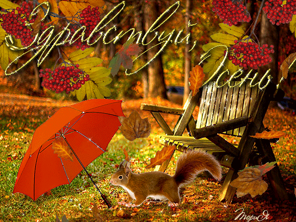 Оригинальные открытки с изображением осени. Открытки осень скачать бесплатно.