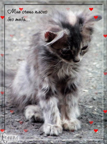Анимационные открытки скучаю по тебе. Открытки я так скучаю скачать бесплатно.