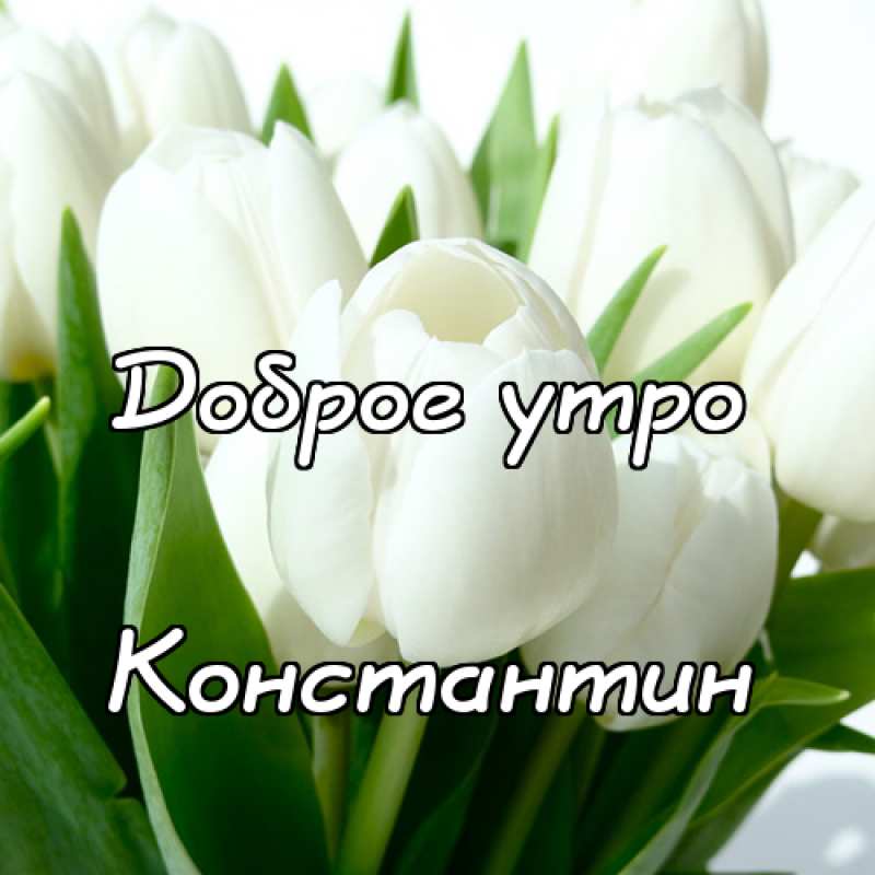 Открытки с именем Константин gif. С днём рождения Костя открытки. Открытки с ...