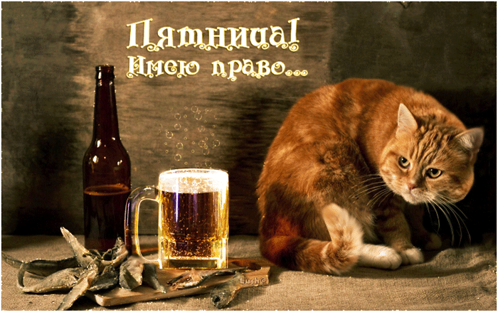 Прикольные открытки на пятницу. Открытки с пожеланиями на пятницу скачать бес...