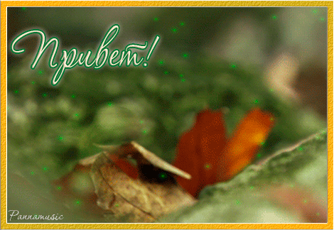 Красивые анимационные открытки с различными приветствиями скачать бесплатно.