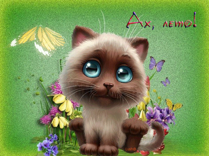 Открытки на тему лета скачать бесплатно. Анимационные открытки про лето.