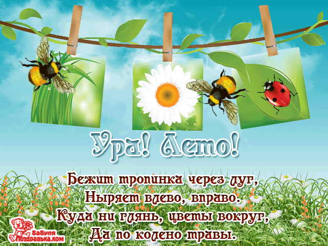 Открытки с первым днем лета скачать бесплатно. Поздравления с началом лета.