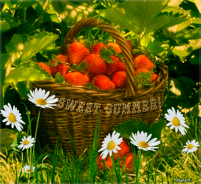 Открытки на тему лета скачать бесплатно. Анимационные открытки про лето.